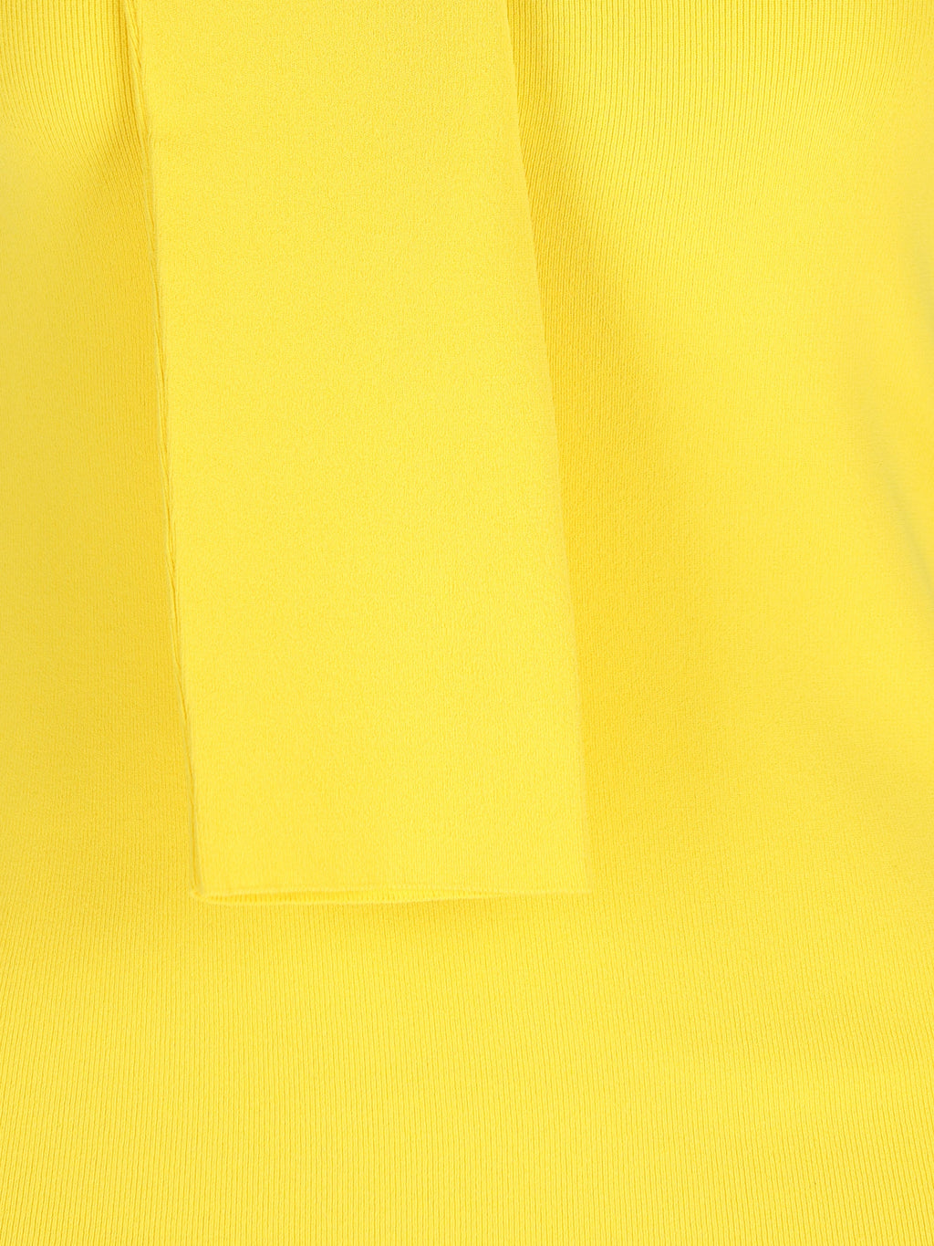Loewe Women's Viscose Blend Jumper in Yellow - view 4