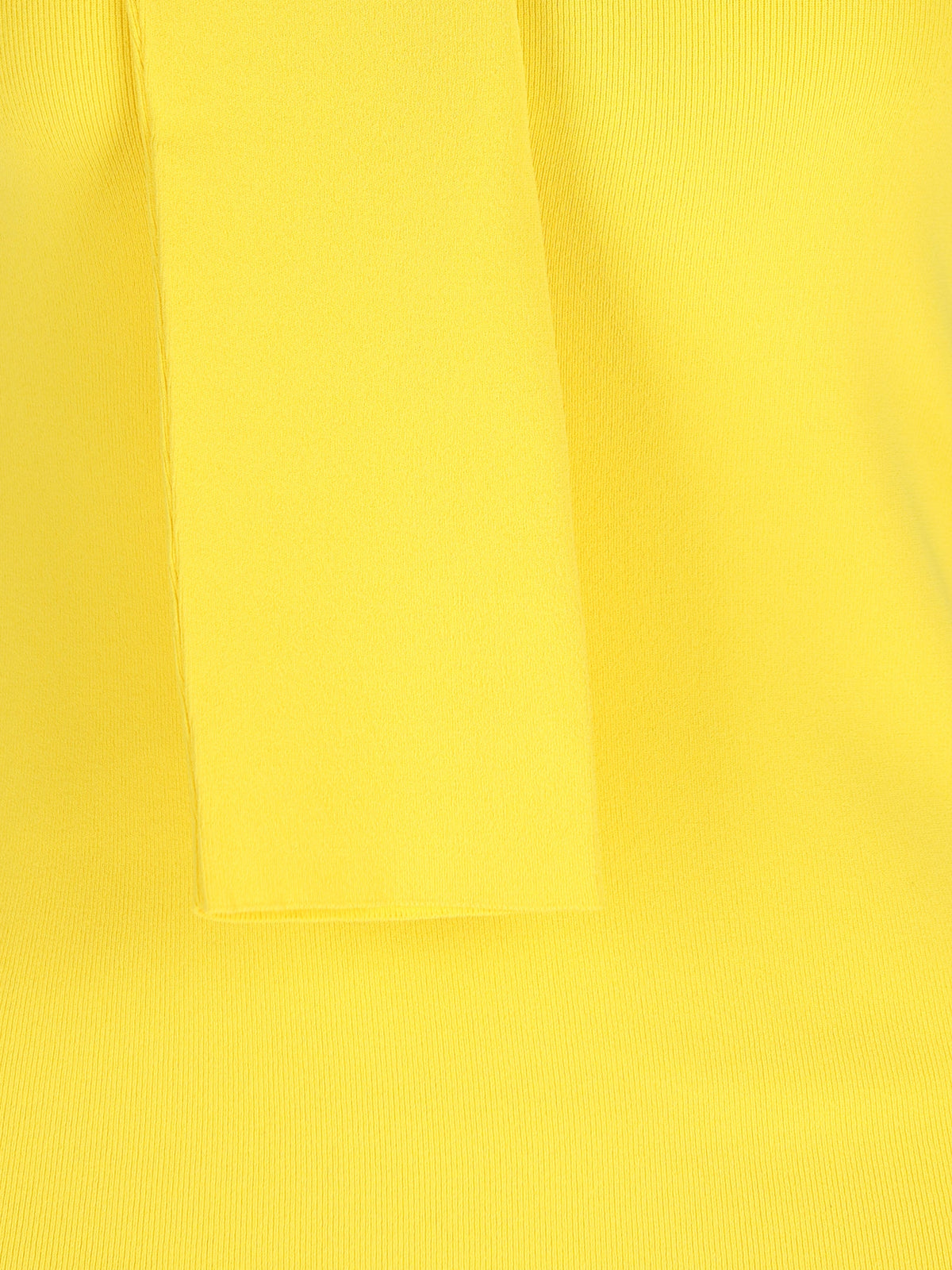 Loewe Women's Viscose Blend Jumper in Yellow - view 4