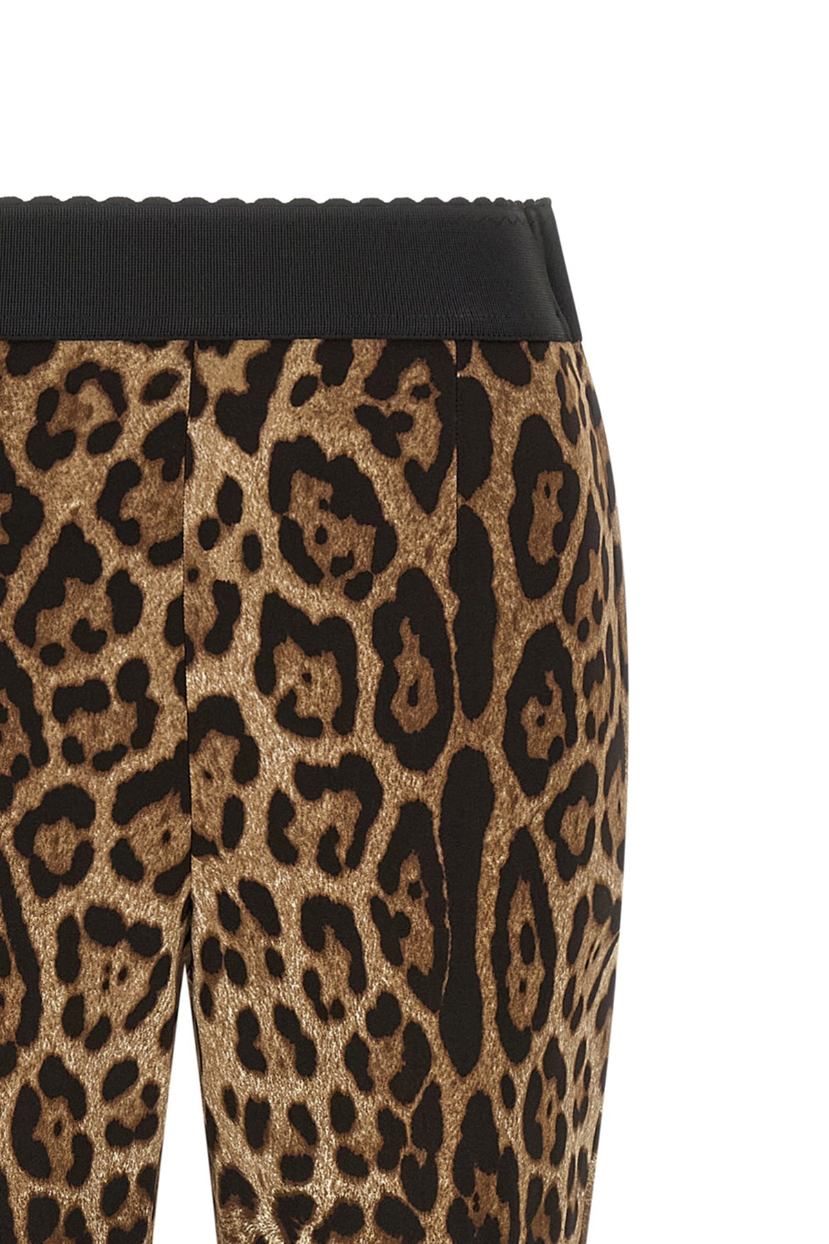 Dolce and Gabbana Women's Leggings Leo in Brown - image 4