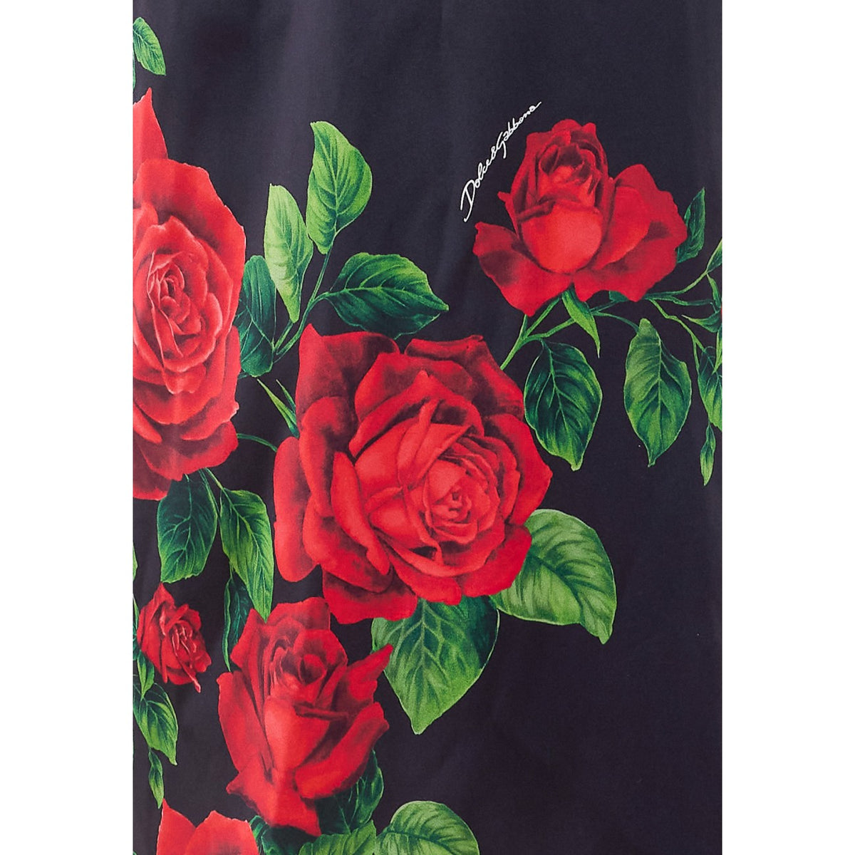 Dolce＆gabbana Women's Roses Print Silk Dress in Black - view 2
