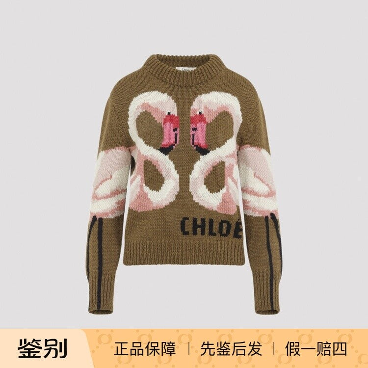 Chloe Women's Sweater in Brown
