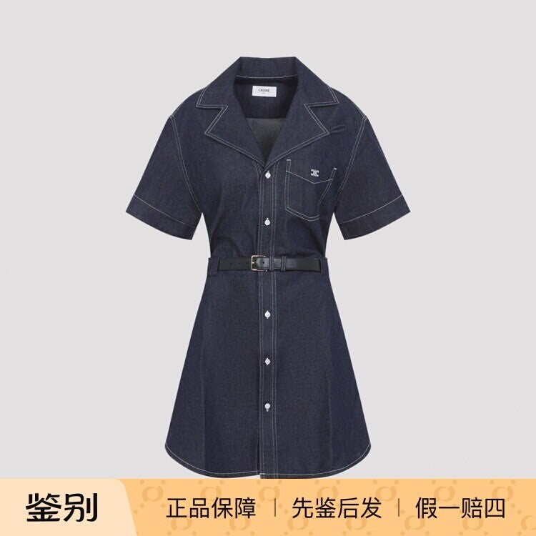 Celine Dress in Blue