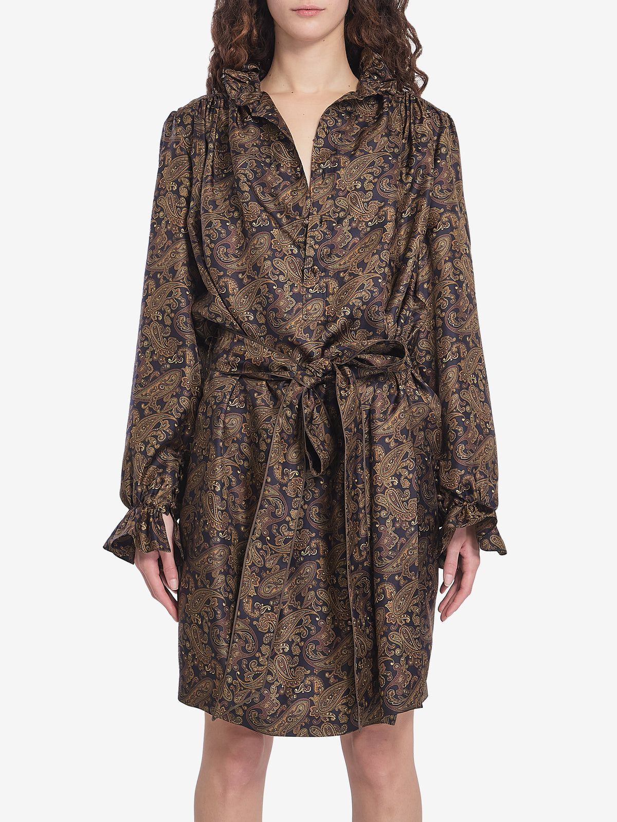 Saint Laurent Women's Paisly Dress in Multicolor