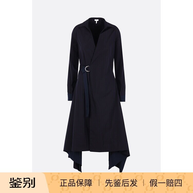 Loewe Dress in Blue