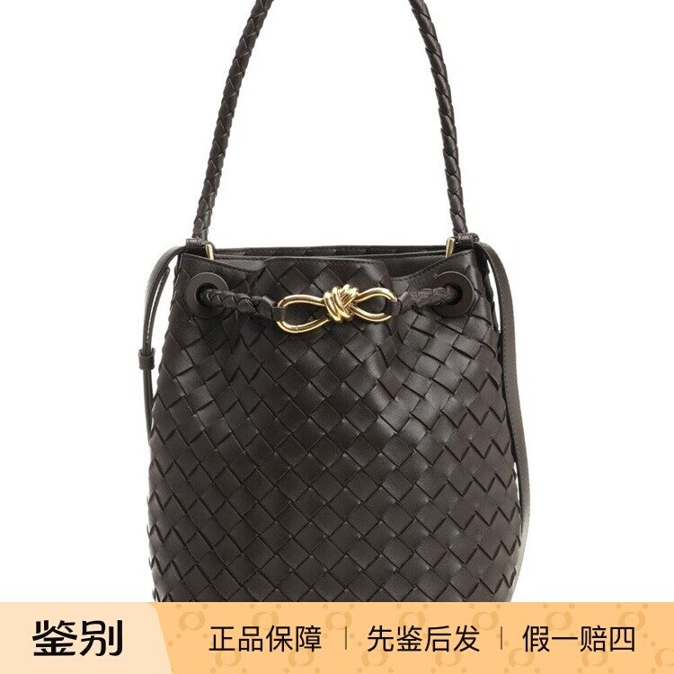 Bottega Veneta Women's Andiamo Small Bag in Brown