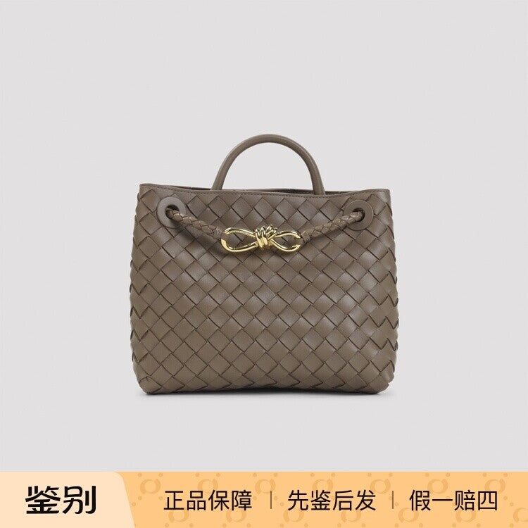 Bottega Veneta Women's Andiamo Small Bag in Brown