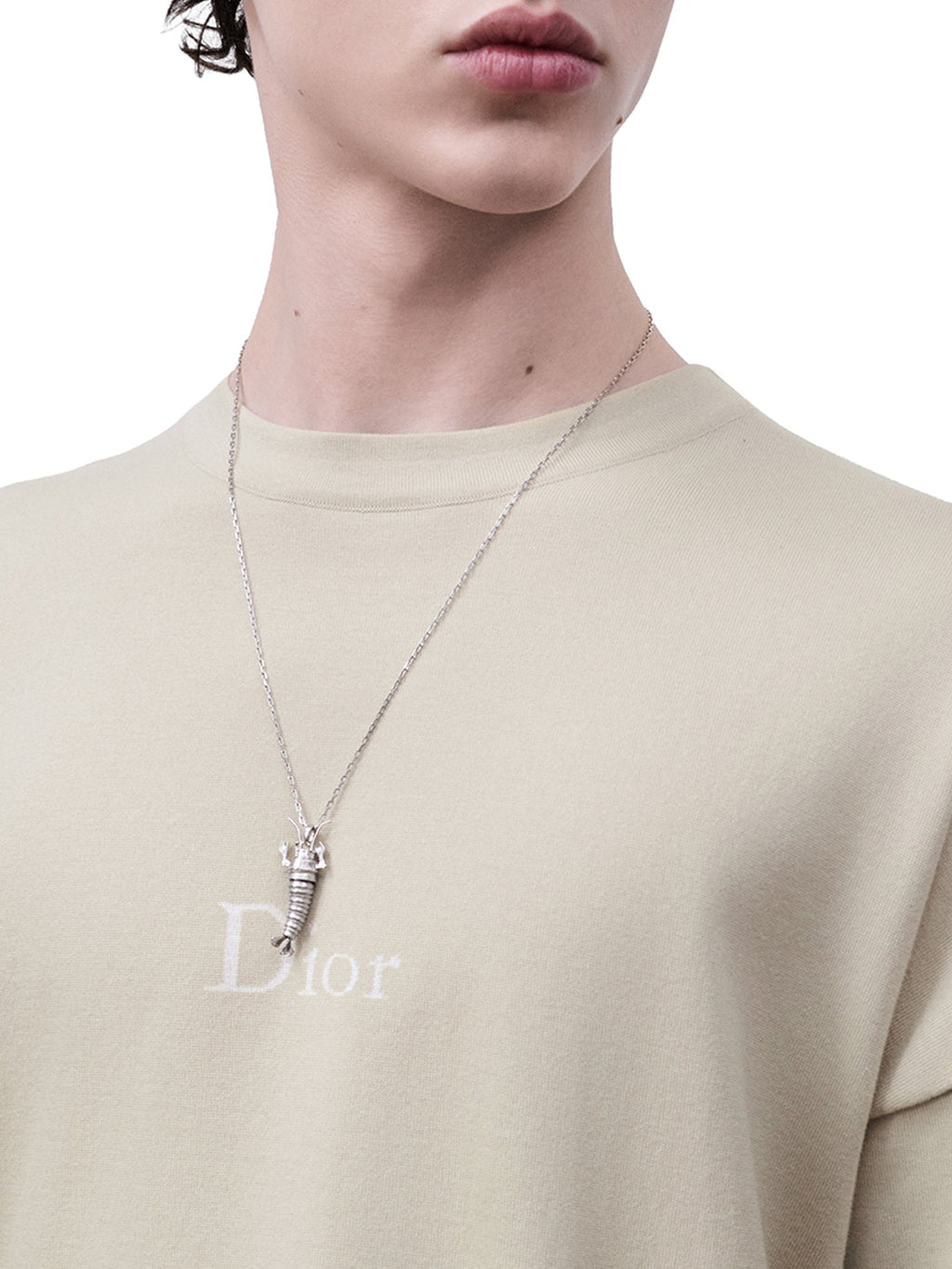 Christian Dior Men's T-SHIRT OVERSIZED FIT in Beige