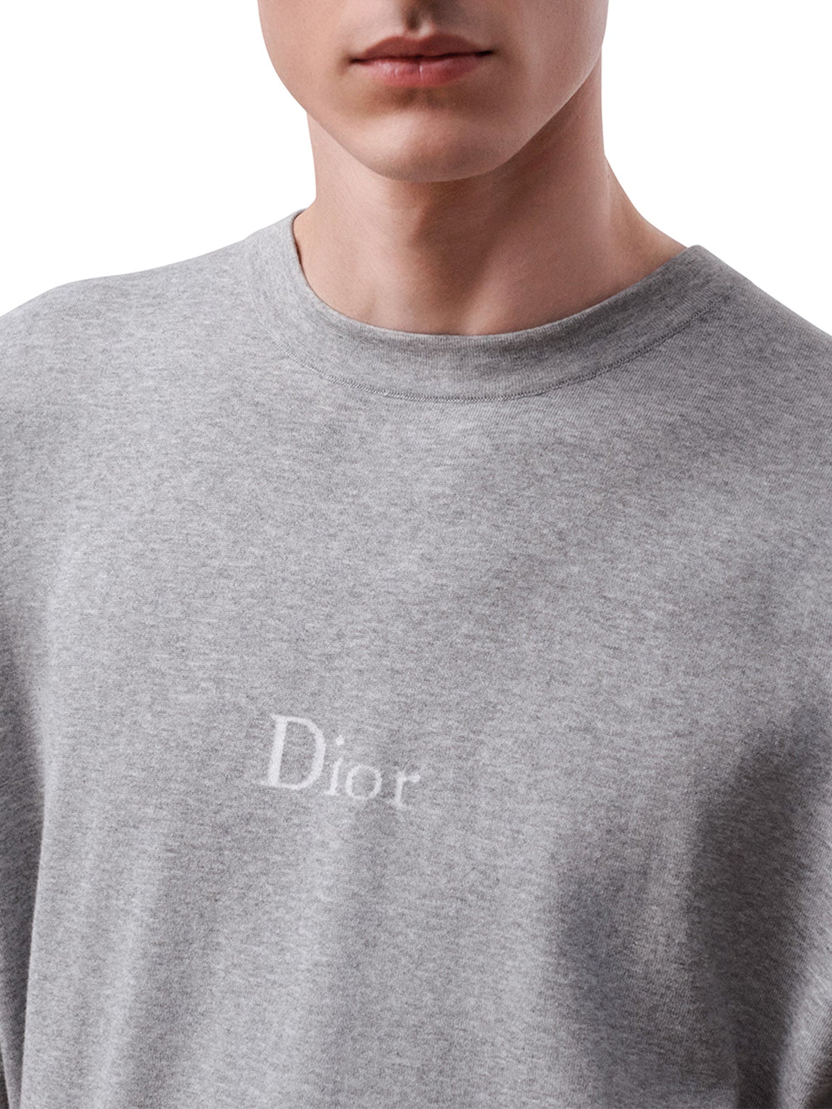 Christian Dior Men's T-SHIRT OVERSIZED FIT in Grey
