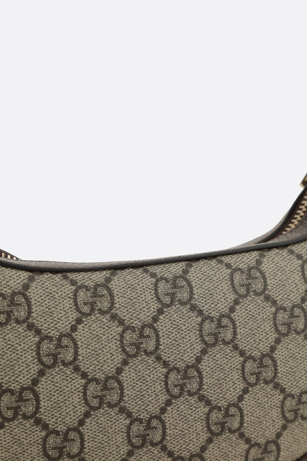 Gucci Women's Hobo Bag in Sand/Dark Brown