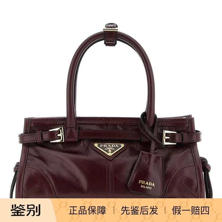 Prada Women's Bonnie Mini Handbag in Burgundy