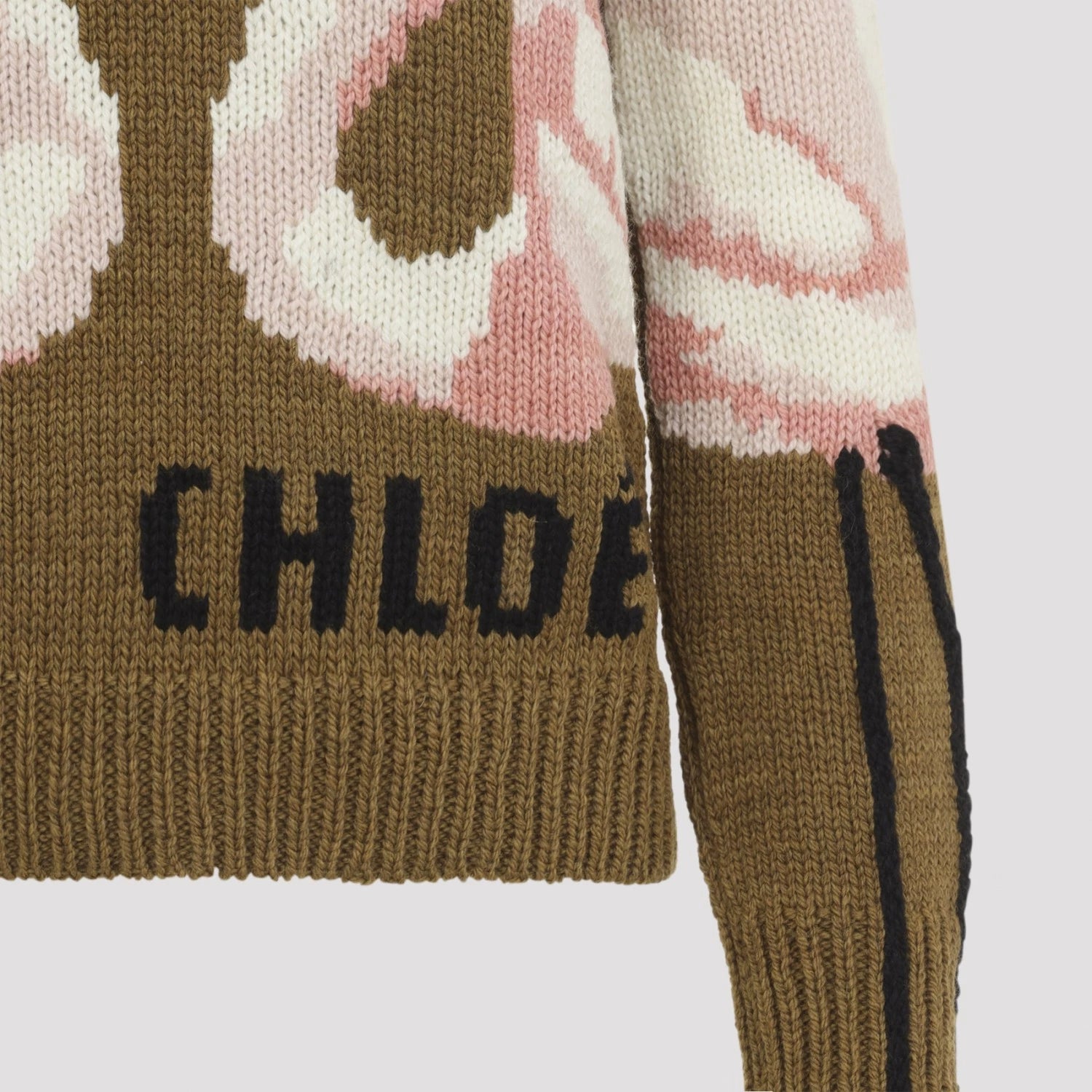Chloe Women's Sweater in Brown