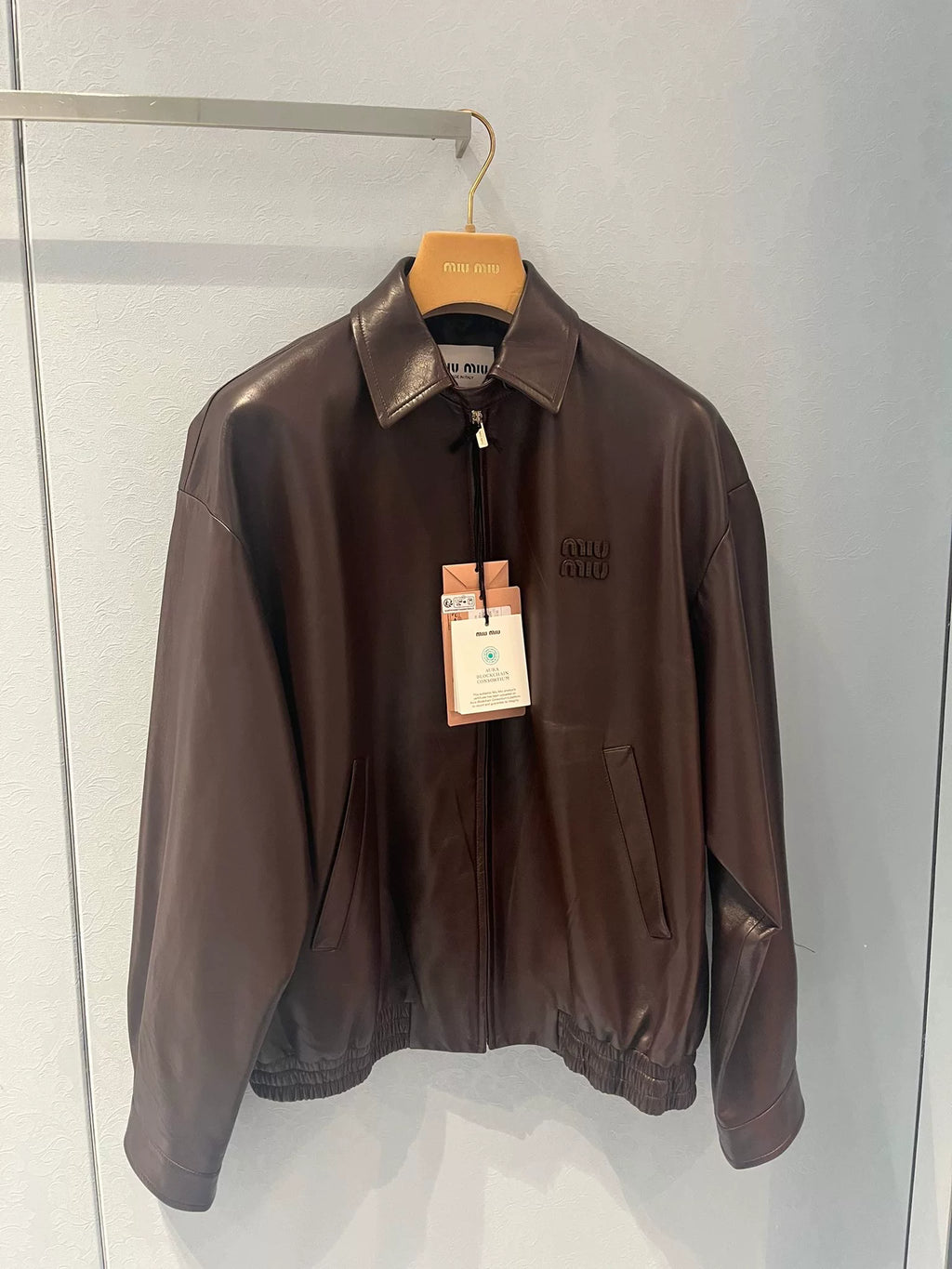 Miu Miu Women's Leather Jacket in Brown