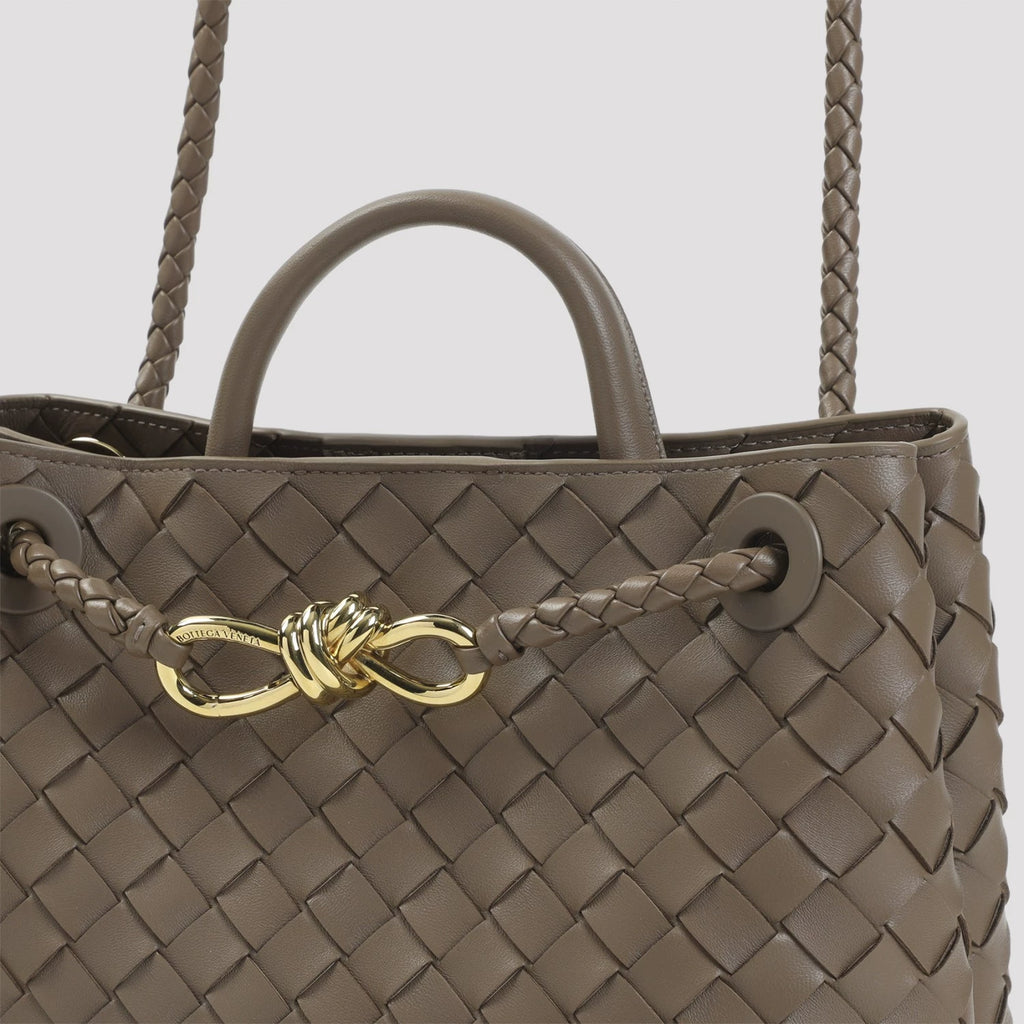 Bottega Veneta Women's Andiamo Small Bag in Brown