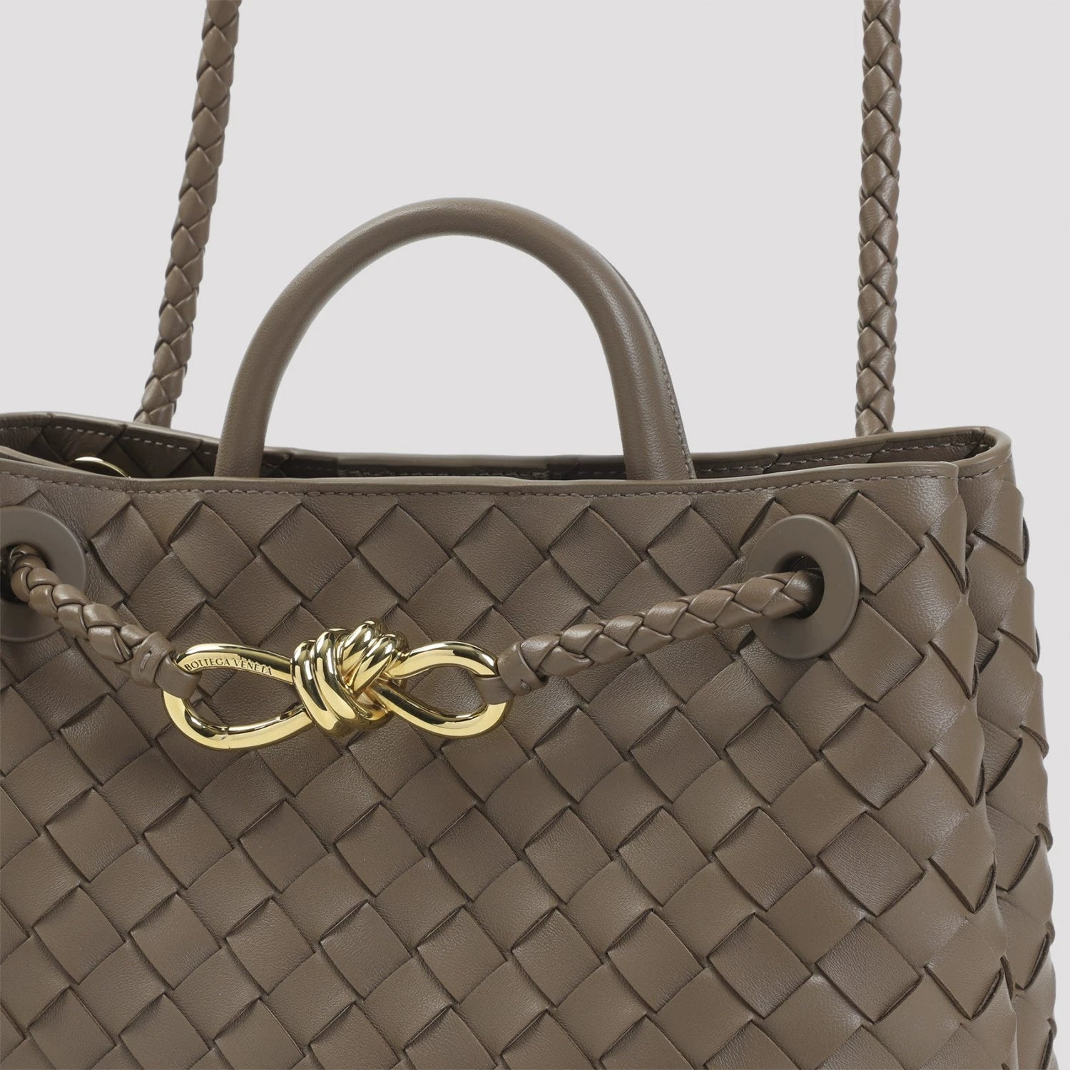 Bottega Veneta Women's Andiamo Small Bag in Brown