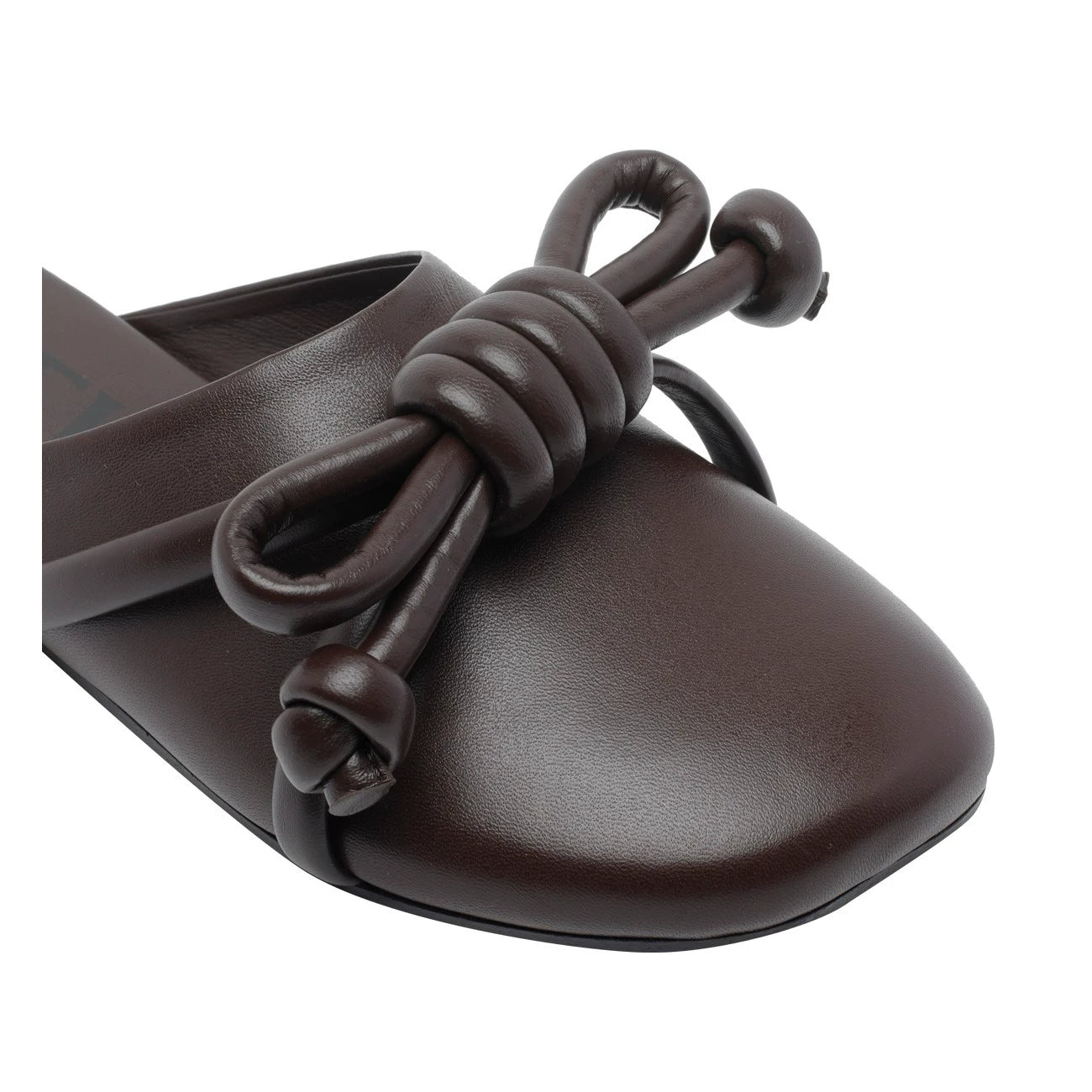 Loewe Women's Flamenco Slippers in Brown