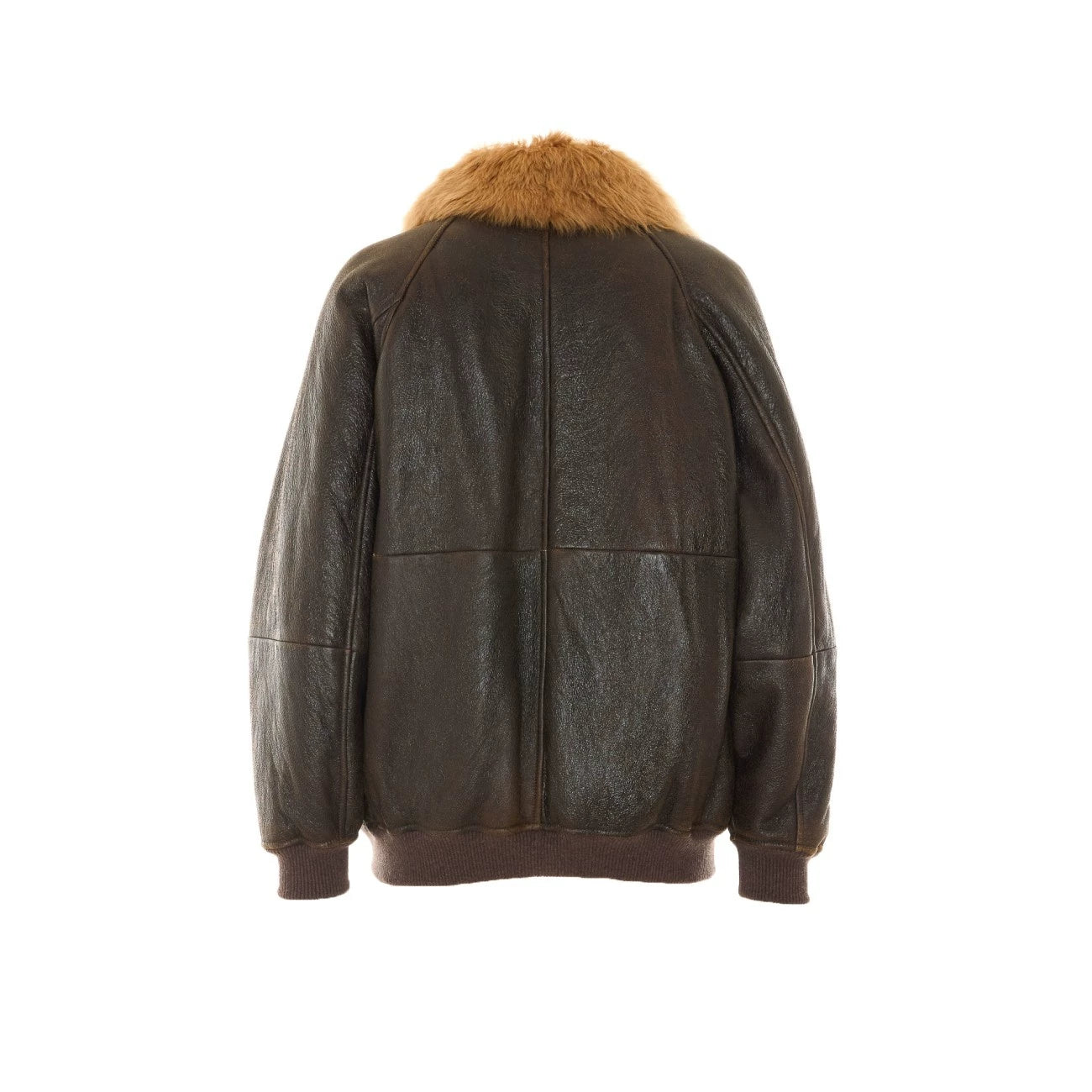 Brunello Cucinelli Women's Leather Jacket in Brown