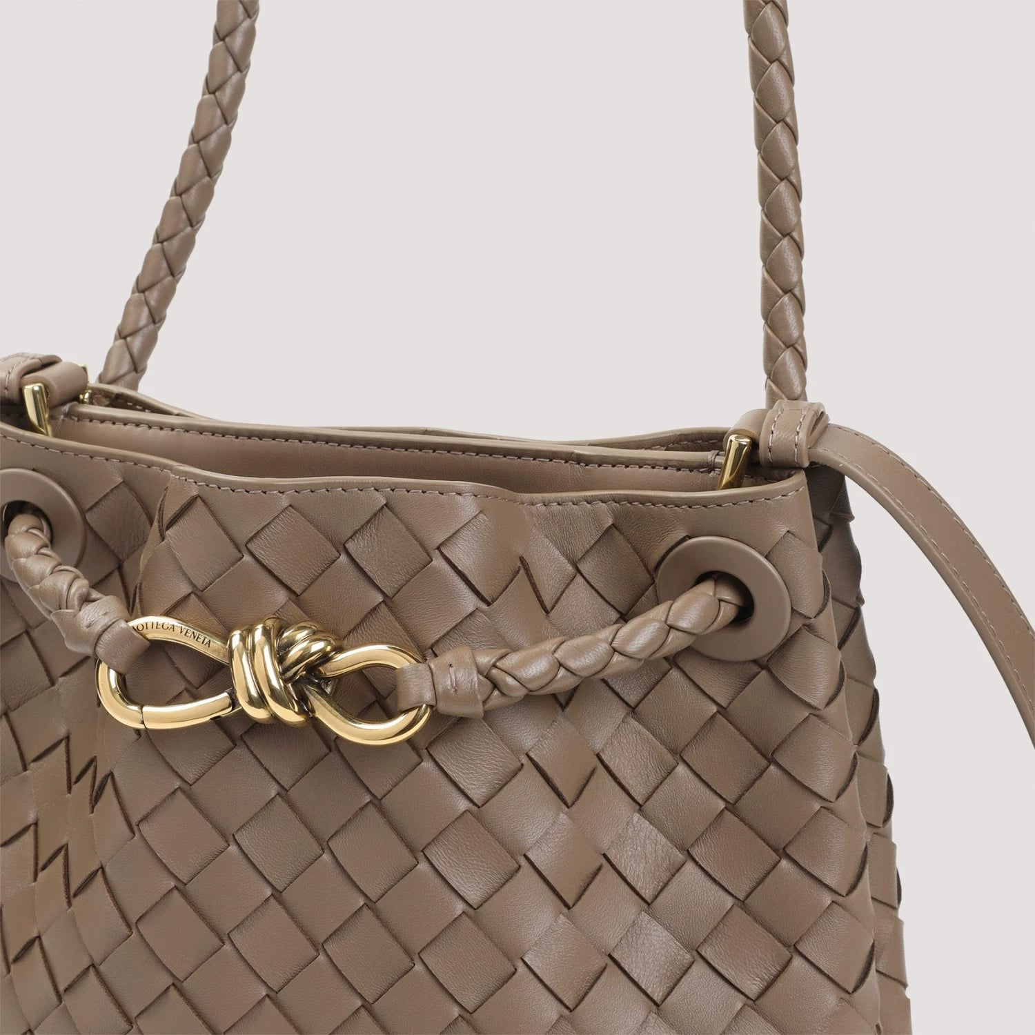 Bottega Veneta Women's Andiamo Bag in Brown