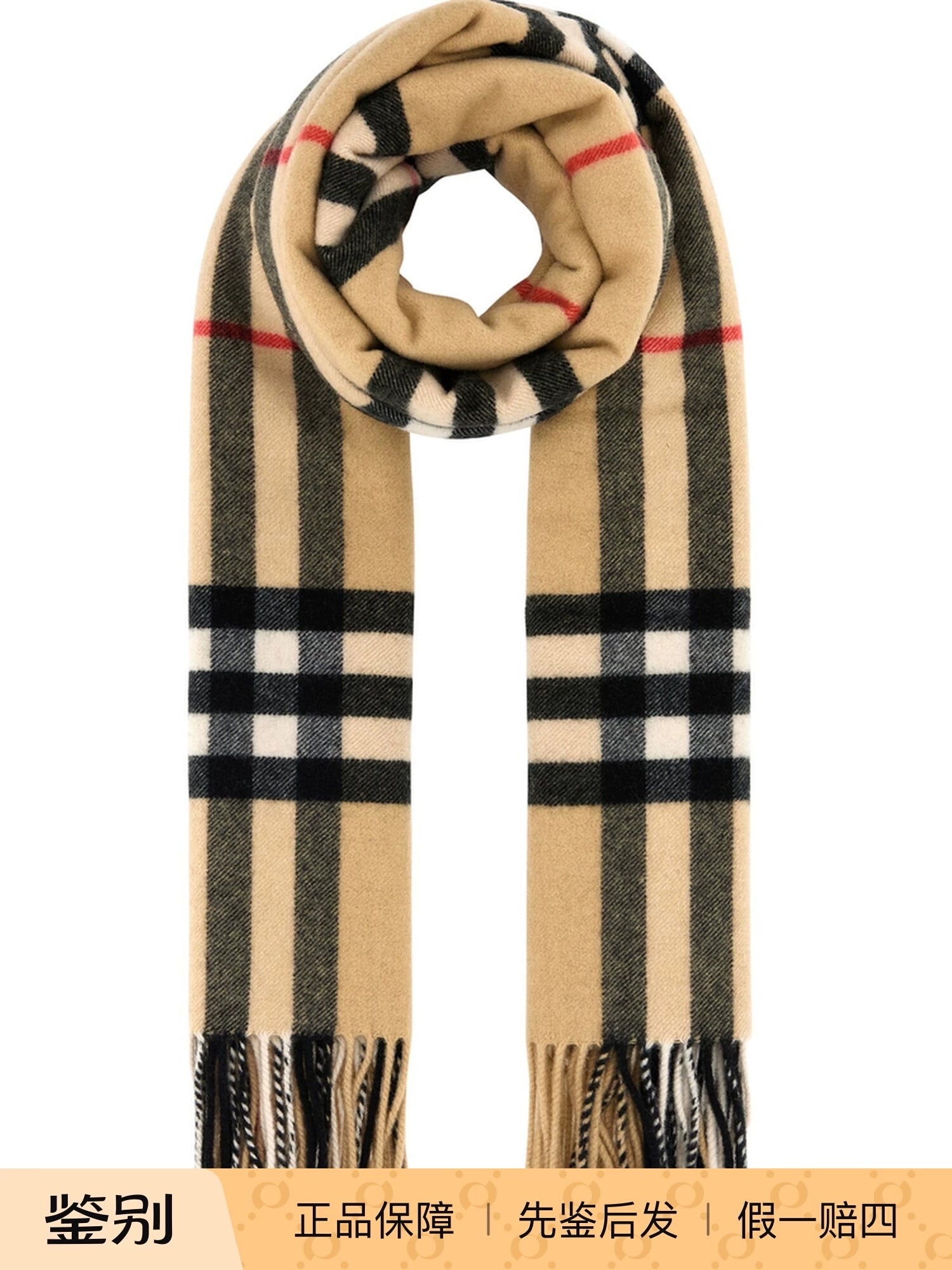 Burberry Men's Scarf