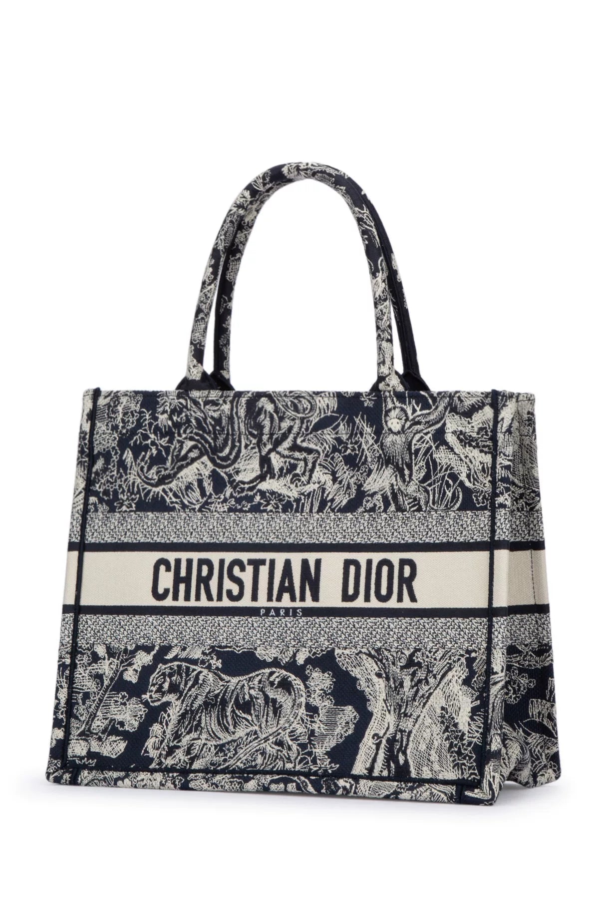 Dior Women's Book Tote Medium Tote Bag