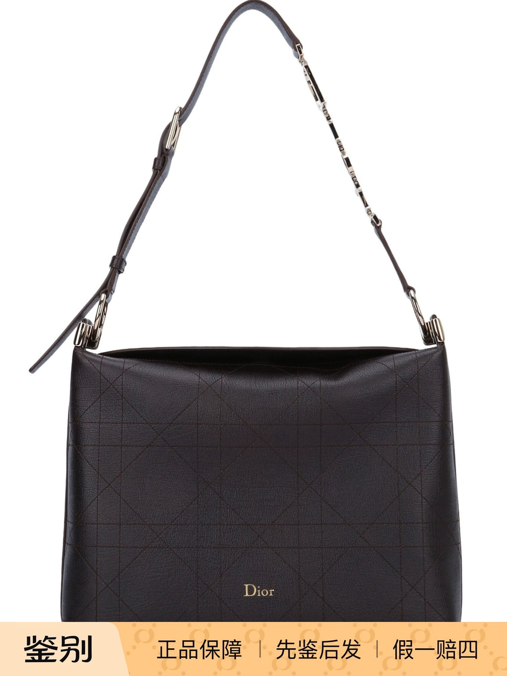 Dior Women's Diroly Medium Shoulder Bag in Brown