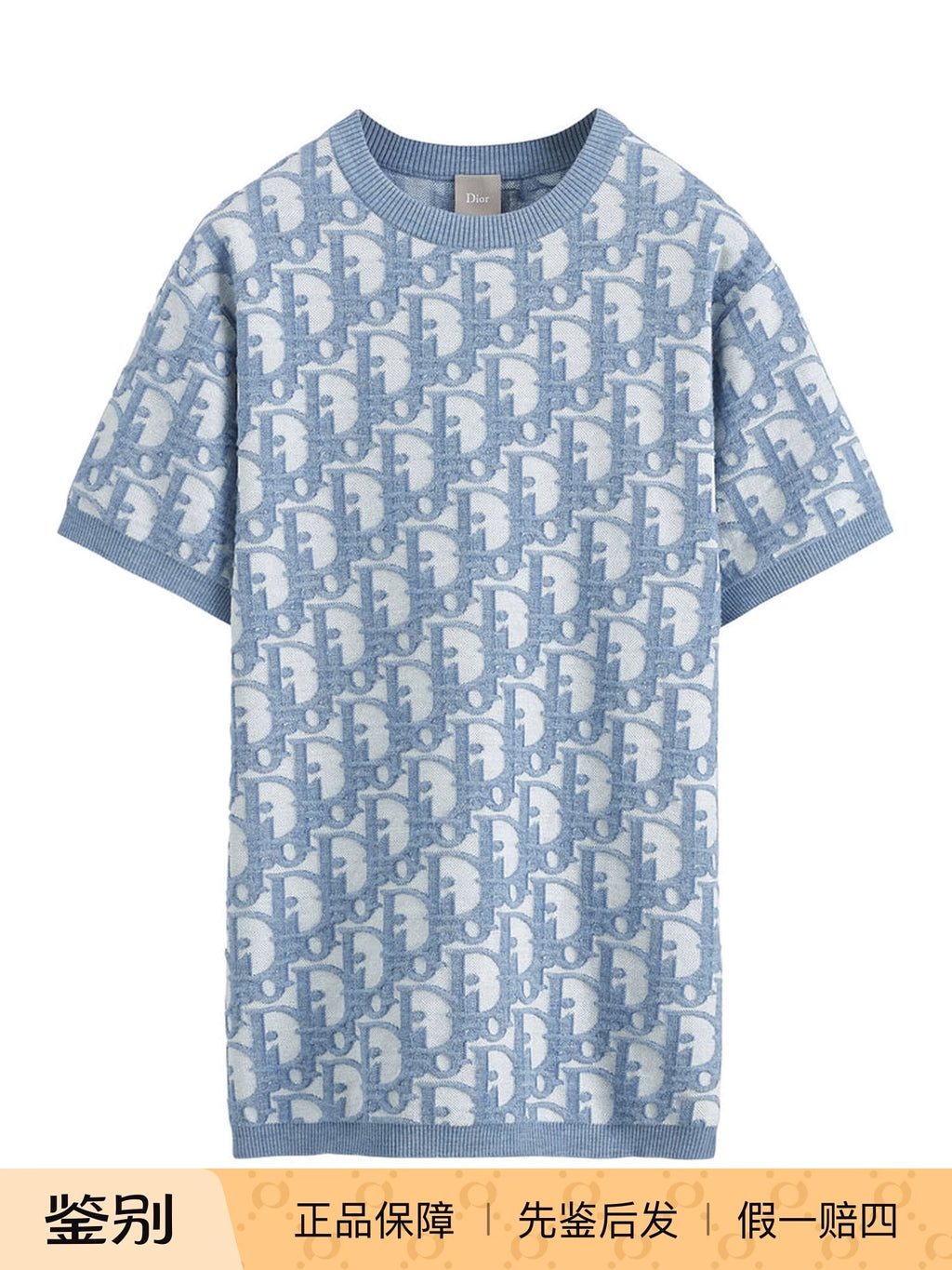 Dior Men's T-Shirt in Blue