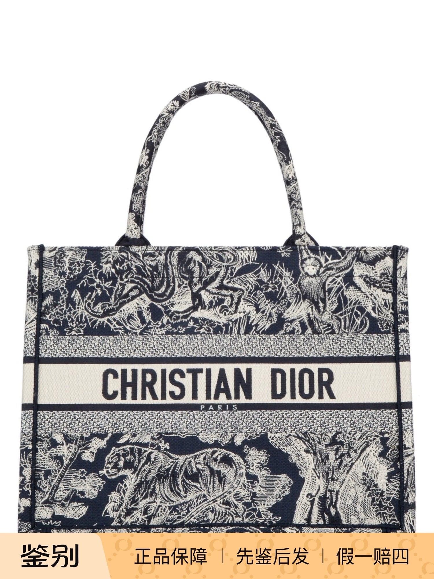 Dior Women's Book Tote Medium Tote Bag