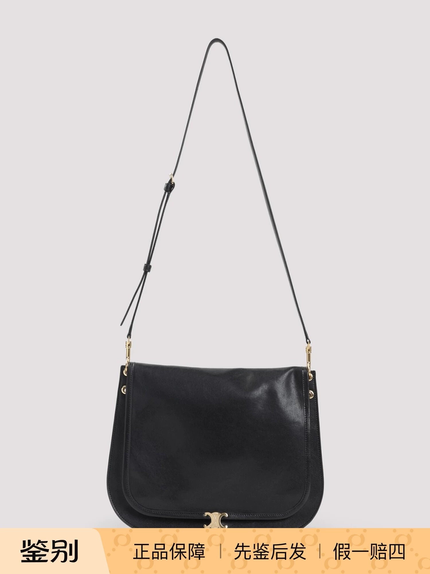 Celine Women's Besace Medium Shoulder Bag in Black