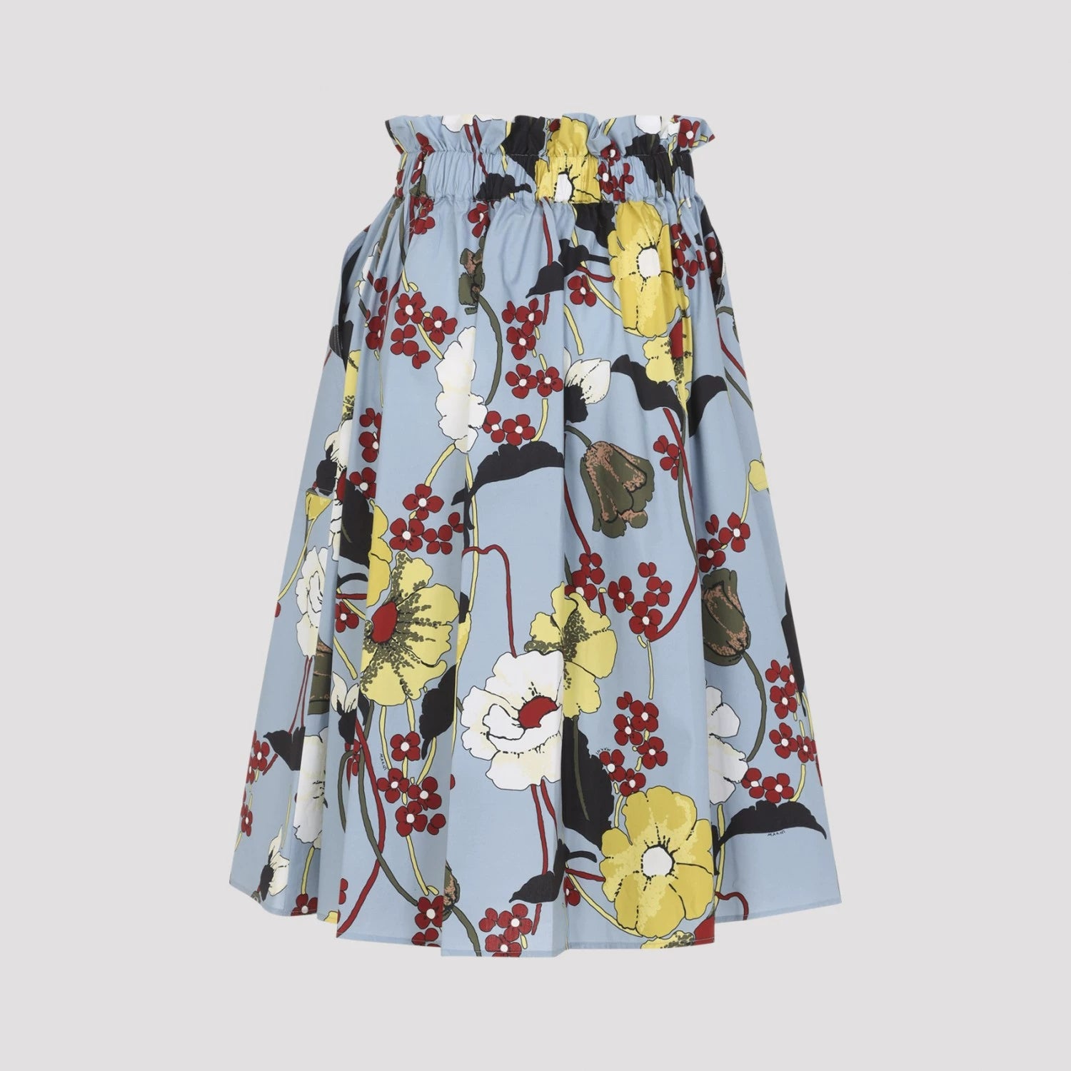 Marni Skirt in Blue