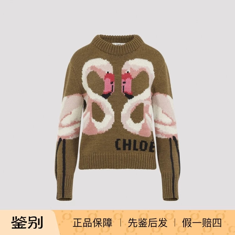 Chloe Women's Sweater in Brown