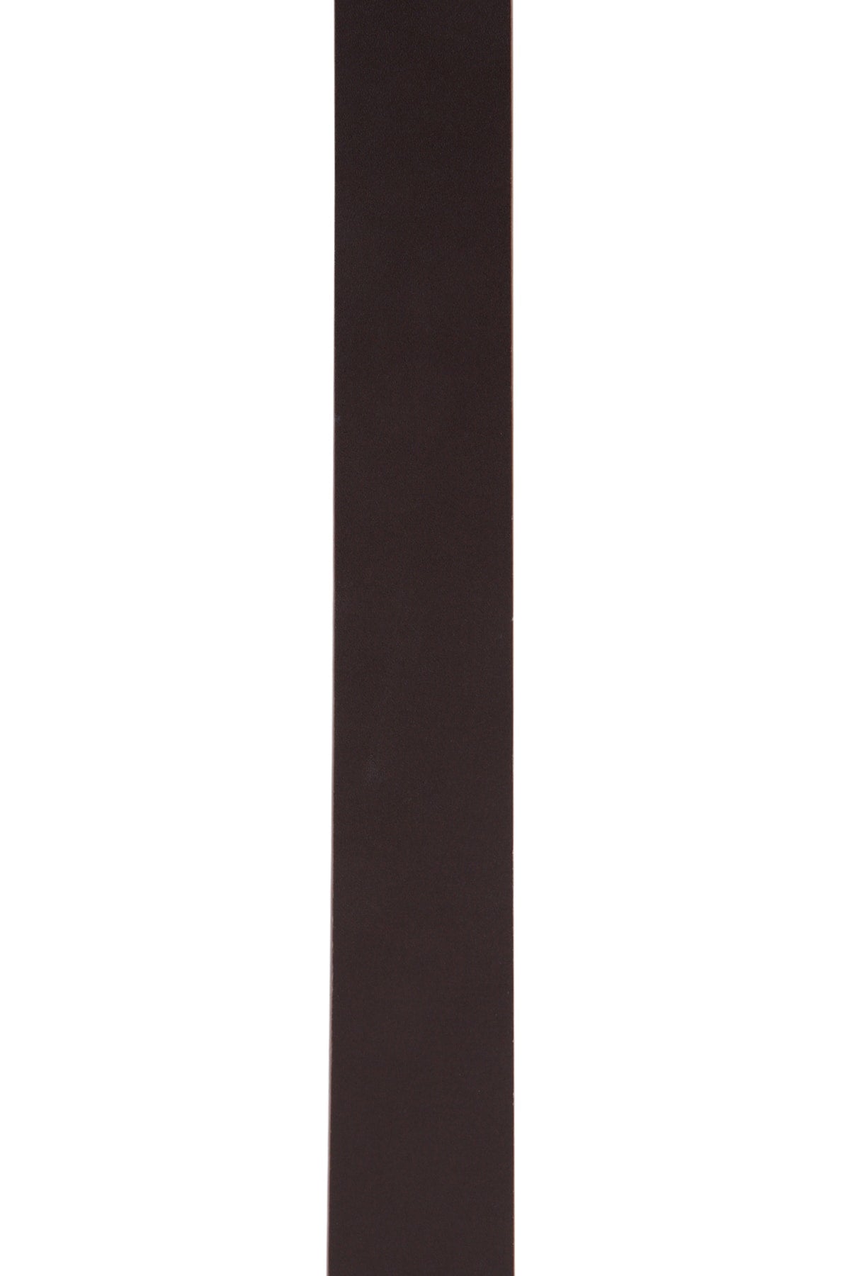 Dior Men's Calfskin Medallion Belt in Brown - view 3