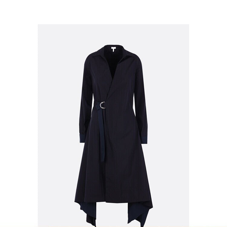 Loewe Dress in Blue